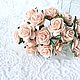 Бумажные розы 2 см и 2,5 см Розово-персиковые светлые Скрапбукинг, Цветы, Астрахань,  Фото №1