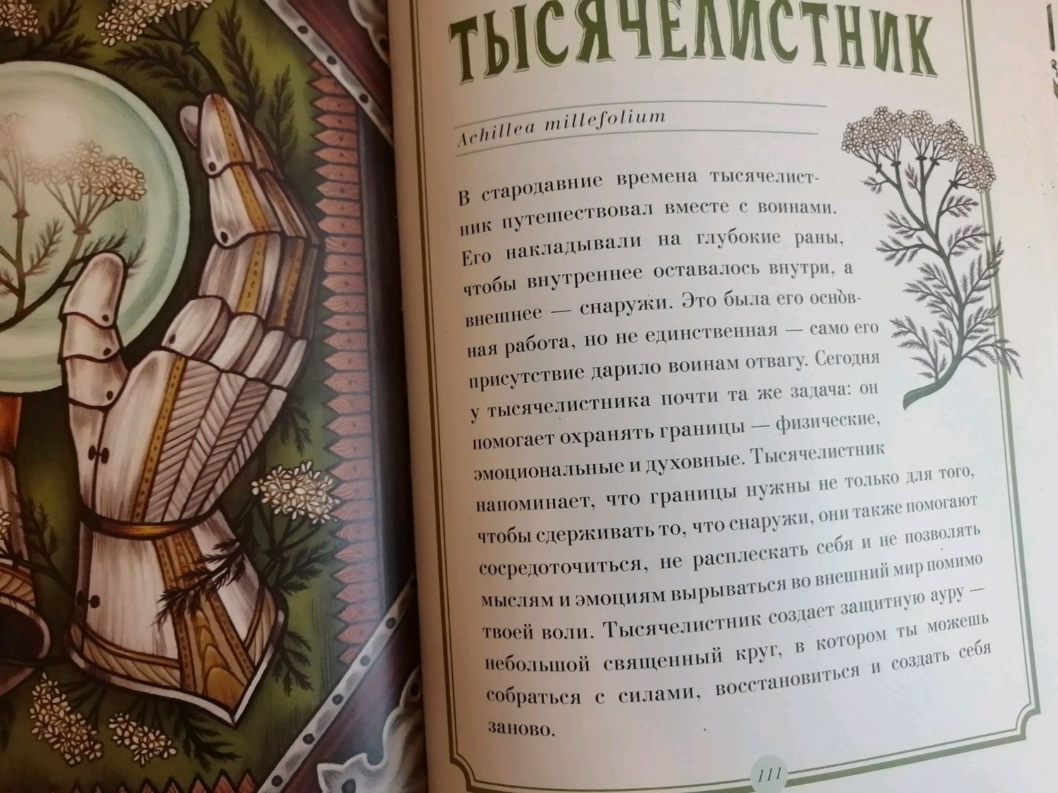 Свечи с тысячелистником из вощины в интернет-магазине Ярмарка Мастеров ...
