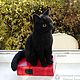 Кот экзот, чёрный котик валяный из шерсти –/ Cat. Войлочная игрушка. Шерстяной Зоопарк Наталья Львова. Интернет-магазин Ярмарка Мастеров.  Фото №2