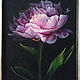 Oil painting 'Peony in bloom' 20*25 cm. Pictures. Ivlieva Irina Art. Online shopping on My Livemaster.  Фото №2