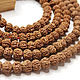 Cuentas 10h8mm semillas Rudraksha árbol Eleocarpus 10 piezas. Beads1. - Olga - Mari Ell Design. Интернет-магазин Ярмарка Мастеров.  Фото №2