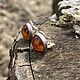 Silent Lake. Clips made of amber and silver. Vintage earrings. Antik Boutique Love. Online shopping on My Livemaster.  Фото №2