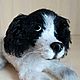 Spaniel knitted dog. Stuffed Toys. Made in Arkhangelsk (madeinarh). Online shopping on My Livemaster.  Фото №2