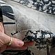  Скатерть льняная с цветочным принтом БОТАНИКА. Скатерти. Лен-то-Цвет   Татьяна Косова. Ярмарка Мастеров.  Фото №6