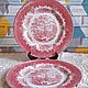 Винтаж: Блюдо Ironstone от Tableware серия "River Scenes" Англия. Тарелки винтажные. Love&Vintage. Интернет-магазин Ярмарка Мастеров.  Фото №2
