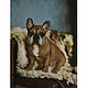 Oil painting bulldog ' Butch', Pictures, Belorechensk,  Фото №1