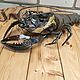 Crayfish. Статуэтки. soulhandmade 7. Ярмарка Мастеров.  Фото №5