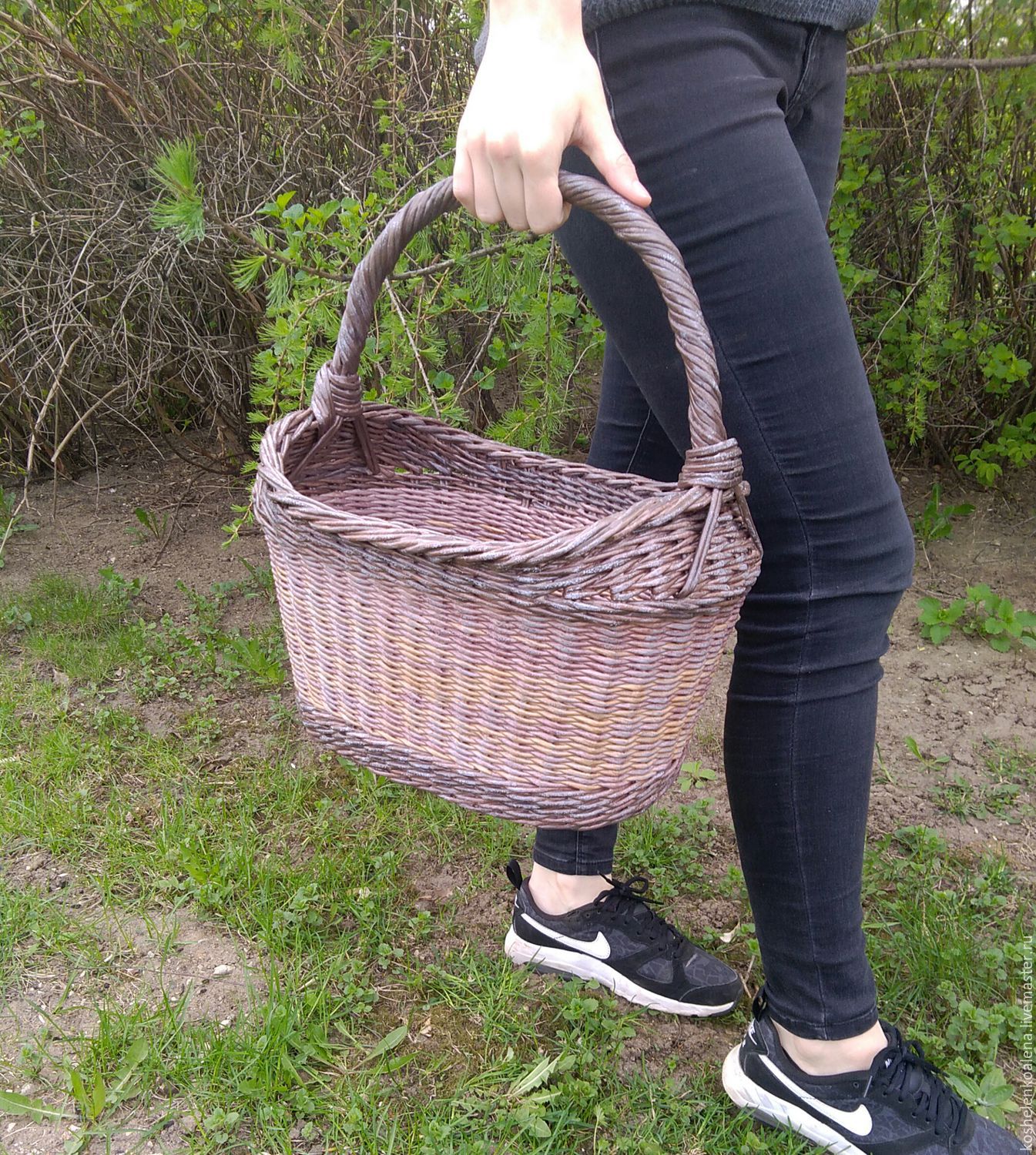 соцветия покрытосеменных растений. корзинка плетеная лаченая. сложная корзинка. сложная корзинка. раскраска пасха.