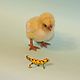 Felted chicken'Petka'. Felted Toy. Anna Petinati- Live toys handmade. Online shopping on My Livemaster.  Фото №2