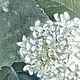Белая гортензия в голубой дымке. Картины маслом. Картины. Наталья Сухова художник-философ (nsukhova). Ярмарка Мастеров.  Фото №4
