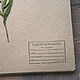 Herbarium album on a Garden spring (15 kraft sheets). Photo albums. Albums and notebooks (Anna). My Livemaster. Фото №5