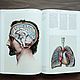 Винтаж: Научная иллюстрация. Science illustration XL. Книги винтажные. Antik-book. Ярмарка Мастеров.  Фото №5