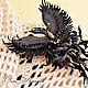 Black Brooch Firebird leather crown gift for the woman. Brooches. flowersstyle (flowersstyle). My Livemaster. Фото №4