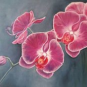 oil painting iris Flower