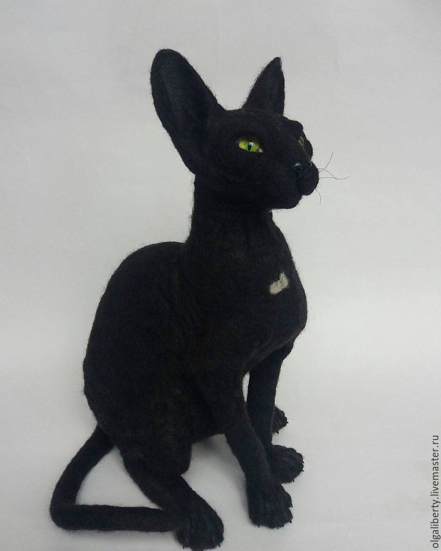 Кот сфинкс черный антистресс. Кот сфинкс черный антистресс. Кот сфинкс черный антистресс. Лысый кот мягкая игрушка. Кот сфинкс черный антистресс.