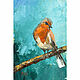 Miniature oil painting 'Stray Guest' bird portrait, Pictures, Belorechensk,  Фото №1