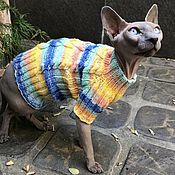 Merino sweater for animals