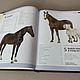 Horse. Encyclopedia (leather book). Gift books. ELITKNIGI by Antonov Evgeniy (elitknigi). My Livemaster. Фото №5
