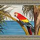 Painting with a parrot, oil ' macaw'. Pictures. Arthelenkey (earthelenkey). My Livemaster. Фото №5