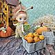 Заказать Куколка Obitsu 11 mini в костюме улиточки. Dolls-miniature. Ярмарка Мастеров. . Куклы и пупсы Фото №3