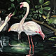 Oil painting Flamingo 80h100 cm. Pictures. Ivlieva Irina Art. Online shopping on My Livemaster.  Фото №2