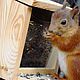 Wooden feeder for squirrels. Bird feeders. Art bird feeder. My Livemaster. Фото №6