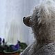 Мишка Марфа. Мишки Тедди. Елена Перминова (elenaperminovabears). Ярмарка Мастеров.  Фото №14