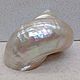 Турбо перламутровый 8,7 sea shell conch  ракушка раковина. Ракушки. Krab. Интернет-магазин Ярмарка Мастеров.  Фото №2