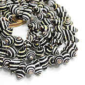 Материалы для творчества handmade. Livemaster - original item Pyrene Shell Beads Pyrene Gastropod 16h9mm. Handmade.