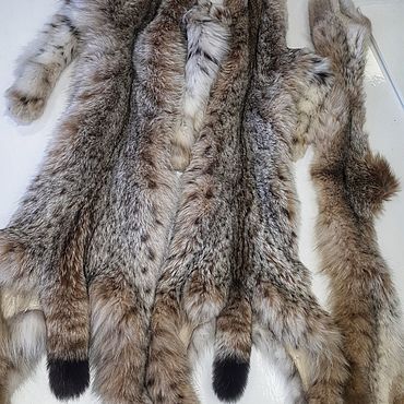 Одежда ручной работы. Ярмарка Мастеров - ручная работа Рысь шкура. Handmade.
