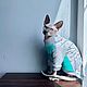 Заказать Одежда для кошек  Кофта "Единорог". Happy-Sphynx. Ярмарка Мастеров. . Одежда для питомцев Фото №3