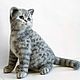 Grey striped British cat. Felting toys out of wool, Felted Toy, Zeya,  Фото №1