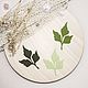 Cutting set # 218 'Favorite leaves' flowers leaves, Scrapbooking cuttings, Rostov-on-Don,  Фото №1