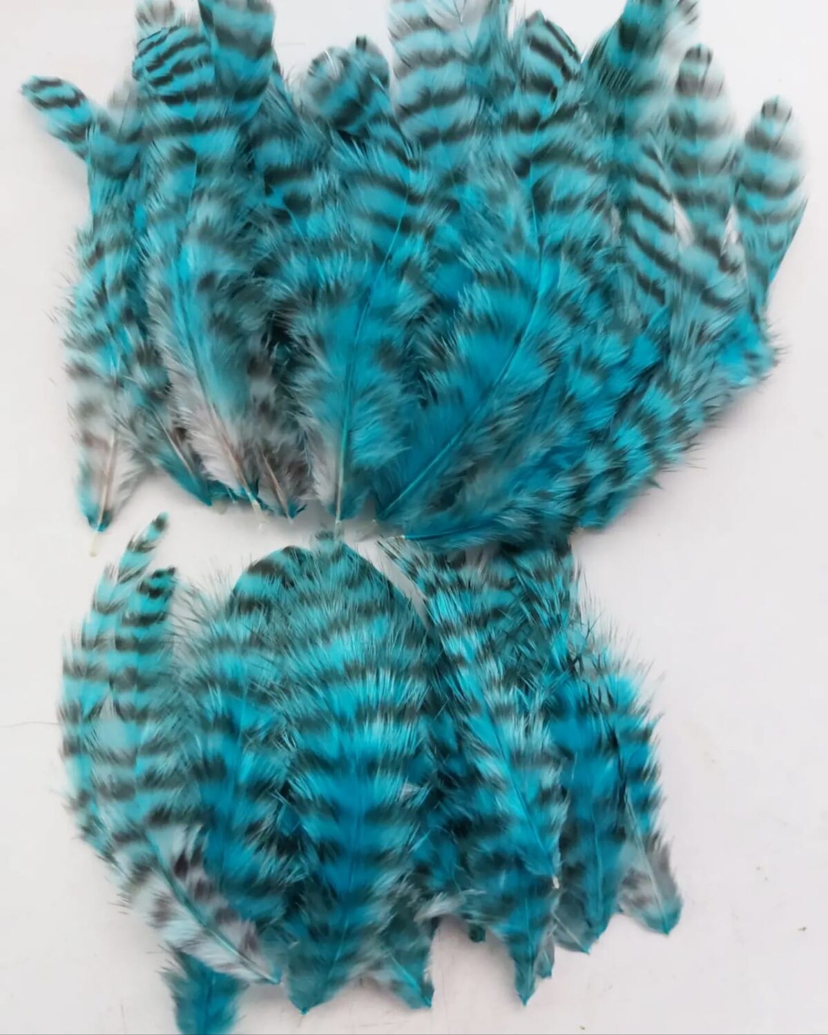 Перо Петуха, декоративных пород. Голубые перья. Набором 56 перьев, Перья, Феодосия,  Фото №1