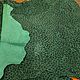 Велюр с принтом под леопарда зелёный. Кожа. Натуральная кожа и материалы (naturalnaya-kozha-materials). Ярмарка Мастеров.  Фото №6