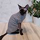 Свитер для котов и кошек. Одежда для питомцев. Наталья (stylishcat). Интернет-магазин Ярмарка Мастеров.  Фото №2