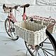 Doll Bike Pink Bicycle for Dolls 1:10 Barbie Blythe, Doll furniture, Moscow,  Фото №1
