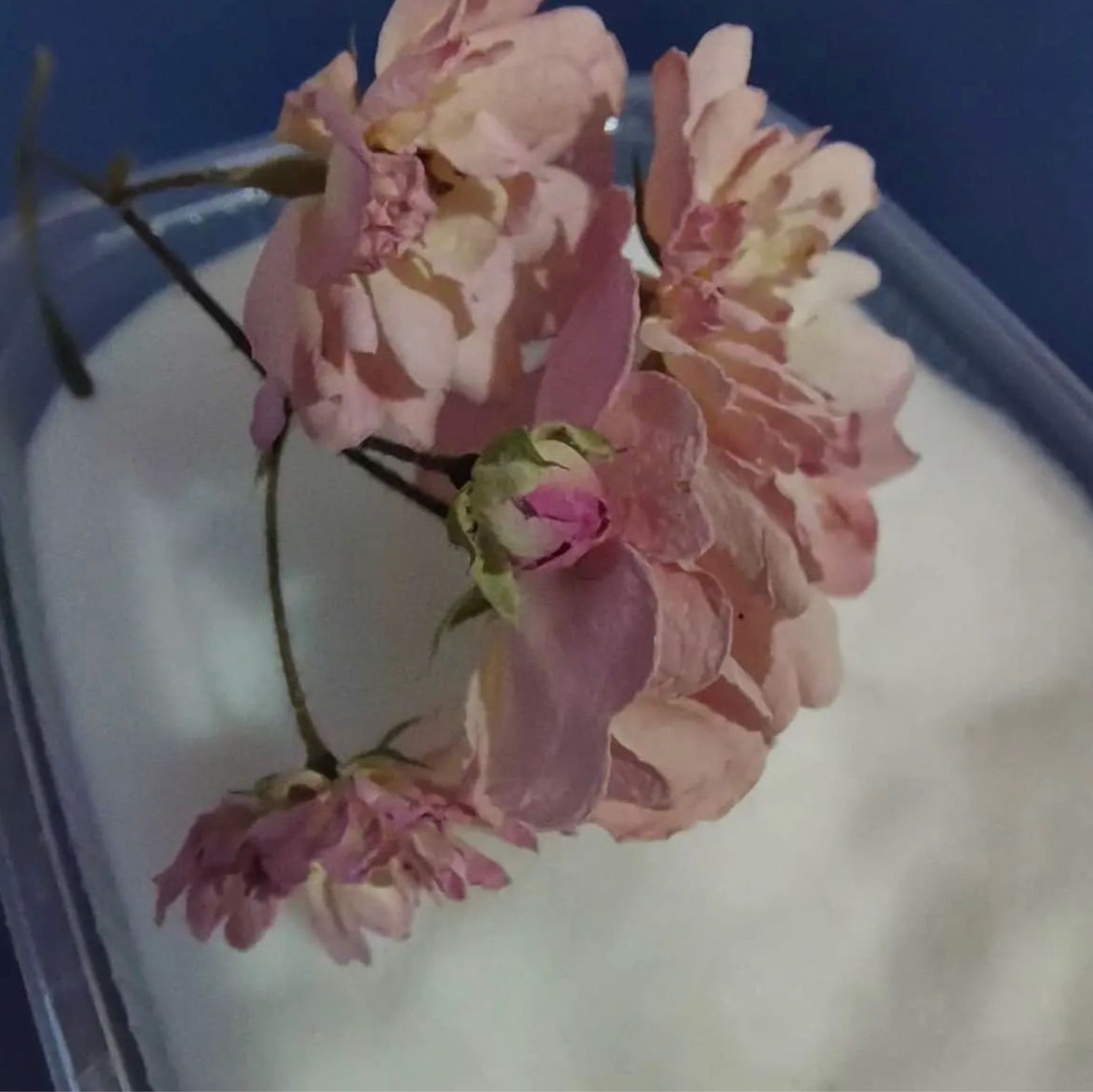 Силикагель для сушки цветов 2 кг ВлагиНет купить в интернет-магазине Wildberries