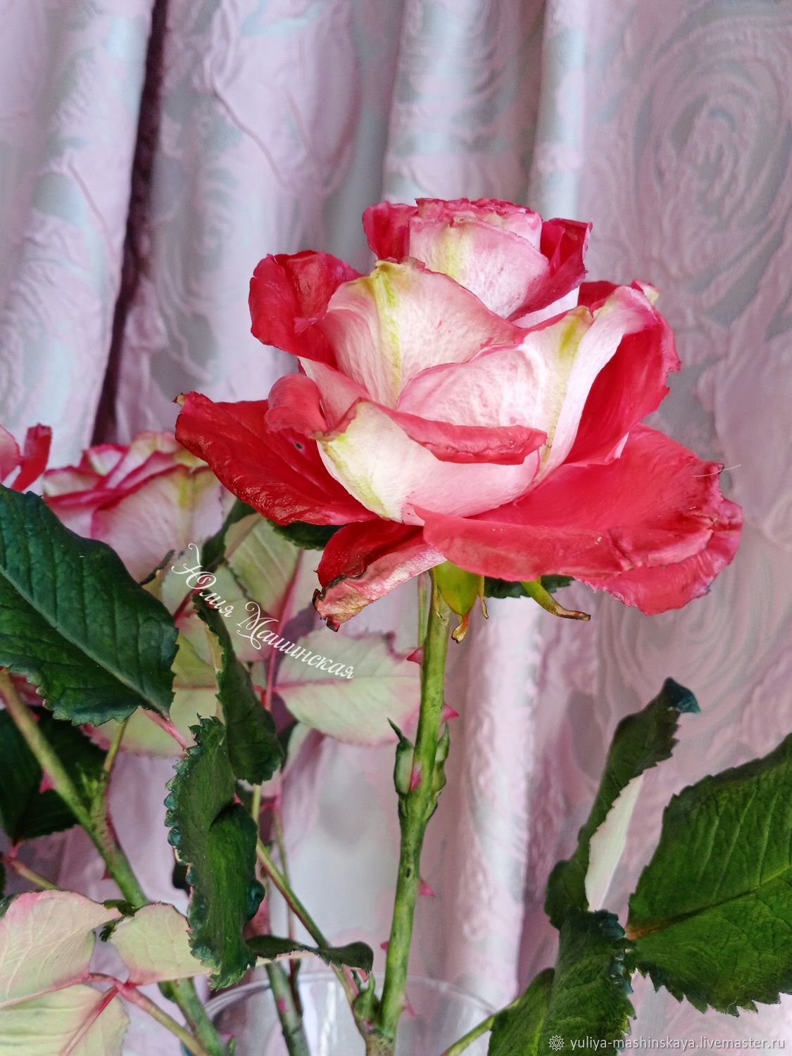 Крупные красно- белые розы "Осирия" в интернет-магазине Ярмарка Мастеров по цене 3300 ₽ – Q29OYRU