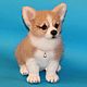 felted Welsh Corgi 'chick', Felted Toy, Moscow,  Фото №1