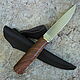 Knife 'Ladoga-1' 95h18 stab.ash, Knives, Vorsma,  Фото №1