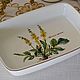 Винтаж: Форма для запекания. Botanica, Villeroy & Boch, Кухонная утварь винтажная, Штутгарт,  Фото №1