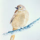 Order 'Bird' watercolor painting (birds, beige, bird painting). Nadezda Perova. Livemaster. . Pictures Фото №3