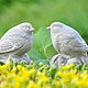 Birds on acorns 2pcs. Provence Vintage home and garden, Figurines, Azov,  Фото №1