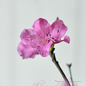 Цветы и флористика handmade. Livemaster - original item rosemary. A rhododendron.. Handmade.