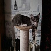 Зоотовары handmade. Livemaster - original item Large scratching posts for large cats. Suitable for a Maine Coon. Handmade.
