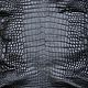 Кожа крокодила, галантерейной выделки, брюшная часть, чёрный цвет, Кожа, Санкт-Петербург,  Фото №1