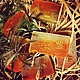 Облепиха и пивные дрожжи мыло - скраб с нуля. Мыло. Елена (home-made-soap). Ярмарка Мастеров.  Фото №4