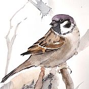 Картины и панно handmade. Livemaster - original item Watercolor painting Sparrow (grey brown bird). Handmade.