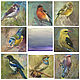 Oil painting. birds. Bullfinch. Pictures. ArtShipilina. My Livemaster. Фото №6